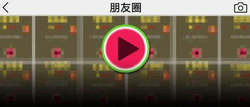 瓜西多今日消息,揭秘今日热点事件