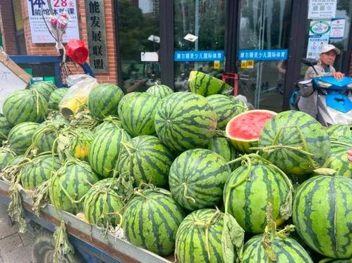 吊瓜行情今日最新消息,最新动态与市场分析