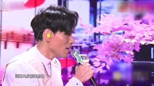 明星网红现场保镖叫什么,神秘身份背后的守护者