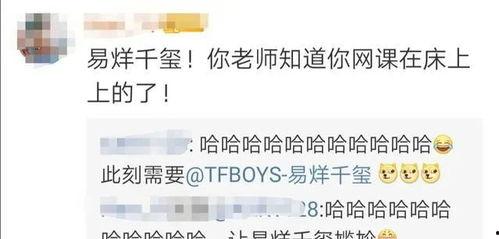 明星网红素养课程怎么上,打造新时代网络影响力典范