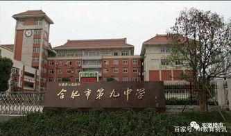 今日合肥高中瓜,揭秘校园风云背后的故事