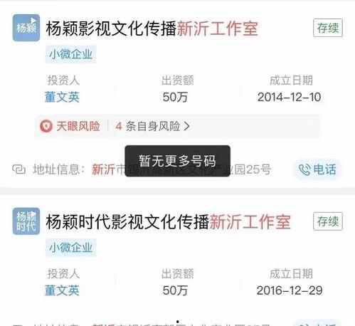 明星网红工作属性是什么,工作属性与影响力解析