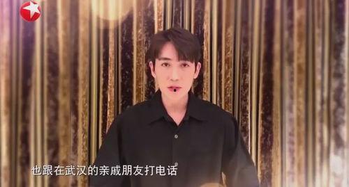 武汉今年明星网红是谁呀,璀璨星光下的城市新宠