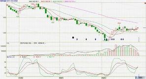 今日全国瓜价走势分析图,多维度分析揭示市场动态