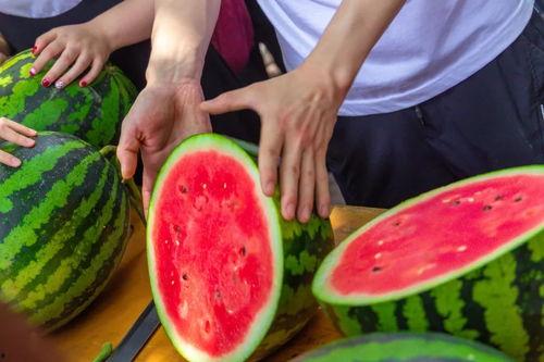 今日吃瓜856,揭秘娱乐圈最新热点事件