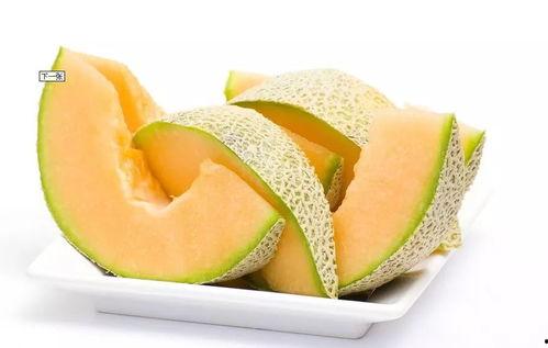 哈密瓜乡今日头条,瓜香四溢，探寻新疆哈密瓜的秘密之旅