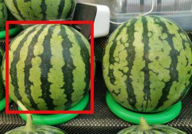 新鲜热瓜今日热瓜怎么吃,多样吃法尽享清凉美味