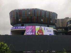 瓜沥今日大酒店小姐,揭秘酒店服务背后的故事