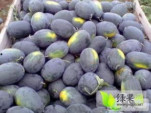 宜城市流水今日瓜价,新鲜瓜果价格行情一览