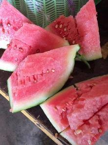 宜城市流水今日瓜价,新鲜瓜果价格行情一览