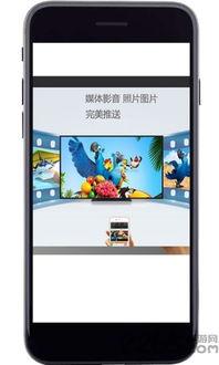 明星网红手机投屏神器