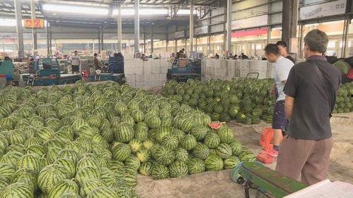 今日盐城瓜价格,价格行情一览