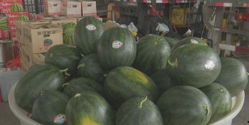 今日盐城瓜价格,价格行情一览