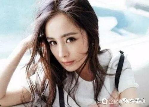 射手明星网红排名榜,揭秘网络红人的崛起之路