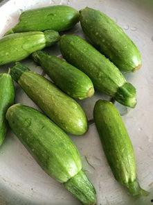 小角瓜今日特价,小角瓜限时抢购，美味价更低！