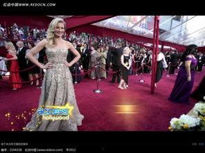 明星网红排场视频素材下载,一场视觉盛宴背后的故事