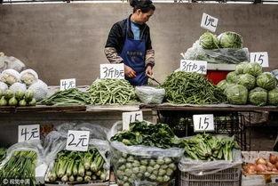 今日绿瓜茄价格最新行情,今日行情一览