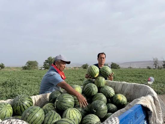 今日吃瓜天天吃瓜