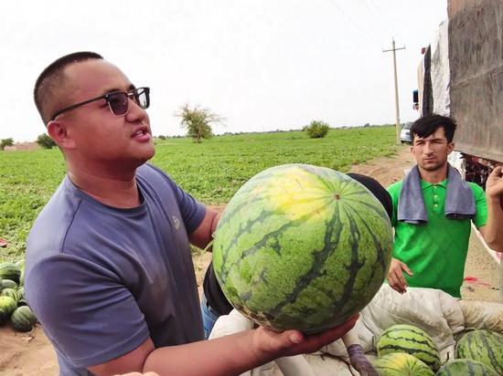 今日吃瓜天天吃瓜