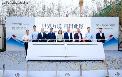 蒲城吊瓜今日行情最新,价格波动与市场动态一览