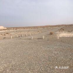 瓜州县今日猪价行情,涨跌互现，养殖户需关注市场动态