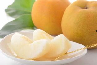 今日蜜瓜卖价,抢购热潮席卷市场