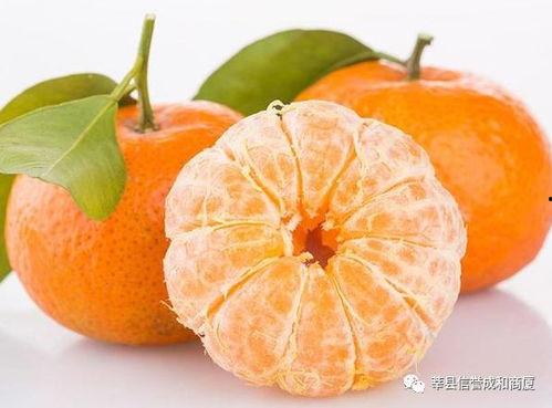 小橘超猛的今日吃瓜,揭秘娱乐圈最新热点事件