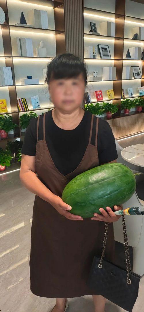 91今日大瓜校园大瓜,校园风云再起，揭秘校园大瓜背后的故事