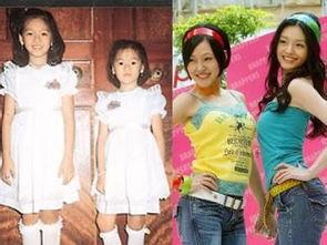 明星网红做菜大全集图片