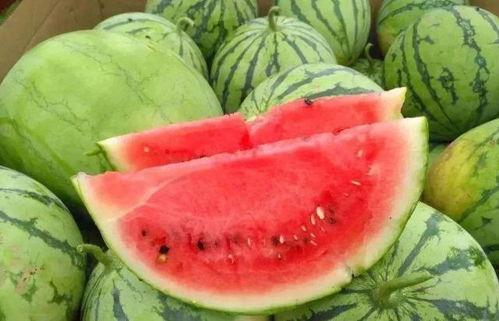 51cg黑料网爆今日大瓜