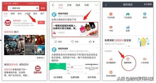 今日头条小瓜解说大全,深度解析热门话题，带你领略资讯魅力