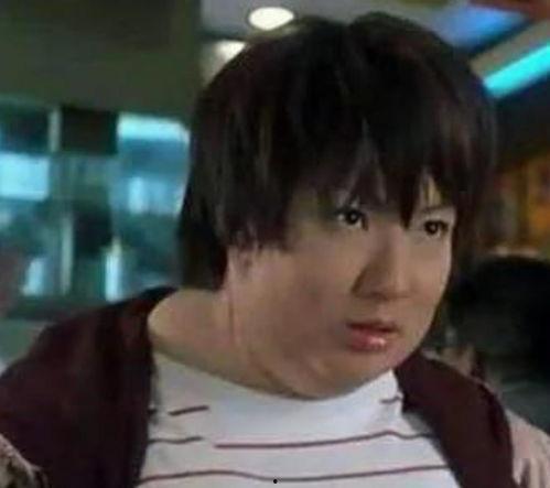 胖子明星网红是谁呀视频,胖子明星网红的爆红之路