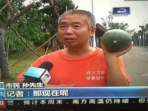 朝阳吃瓜群众今日吃瓜事件,今日热点事件深度解析