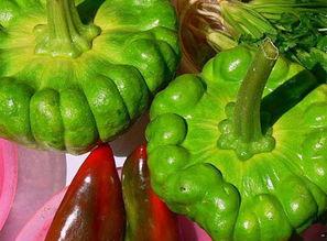 姜柄瓜今日的价格联系方式,联系方式解锁最新行情