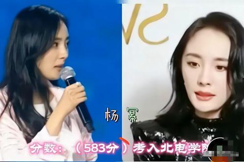 明星网红录播在哪里看