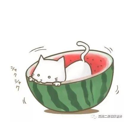 吃瓜今日吃瓜必吃瓜图片,吃瓜群众聚焦的瓜界焦点图鉴