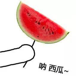 吃瓜今日吃瓜必吃瓜图片,吃瓜群众聚焦的瓜界焦点图鉴