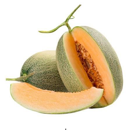 嘉兴86王哈密瓜今日行情,品质卓越，价格稳健