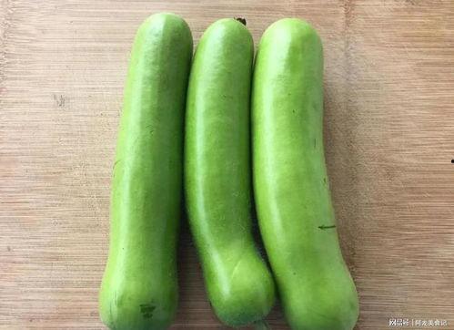 瓠子瓜今日市场价,新鲜资讯一览