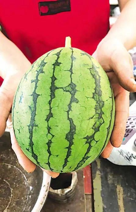 今日吃瓜第一天,揭秘娱乐圈最新热点事件