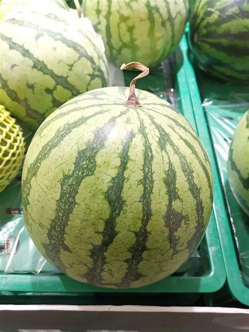 今日吃瓜必吃大瓜图片,吃瓜群众热议的惊天大瓜揭秘