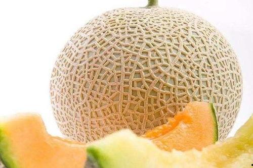 广东哈密瓜今日价,新鲜上市，价格实惠，抢购从速！”