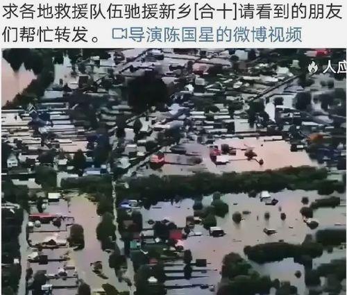 河南明星网红救援风波,真相与争议交织的救援行动