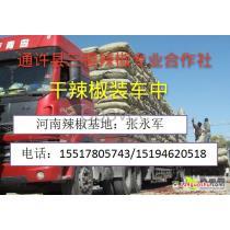 今日瓜价最新行情开封,今日瓜价波动，新鲜资讯一览”