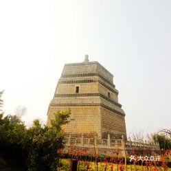 今日瓜价最新行情开封,今日瓜价波动，新鲜资讯一览”