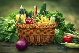 韩寺地爬小吊瓜今日行情,价格波动，市场动态一览”