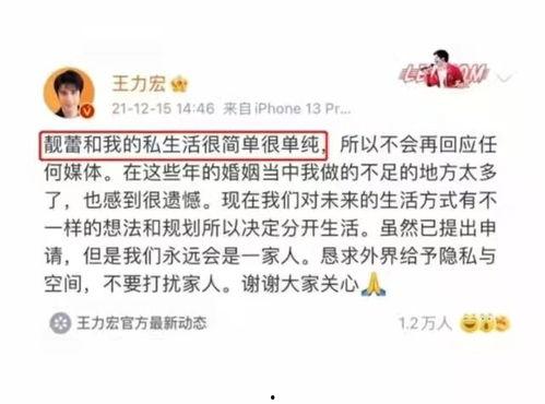 金乡今日头条吃瓜事件始末,一场网络舆论的风暴与反思