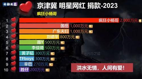 河北涿州明星网红捐款单,捐款单见证明星力量助力灾后重建