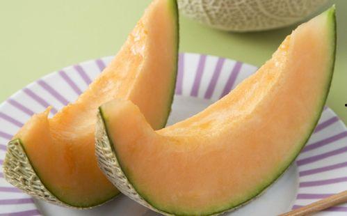 今日分享哈密瓜,哈密瓜的甜蜜诱惑与营养揭秘