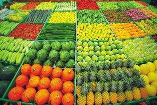 今日海南种什么瓜菜好卖,热门畅销品种推荐